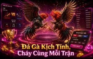 Đá Gà activepetsplace