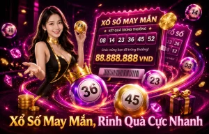 Xổ Số activepetsplace